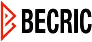 becric Aviator Game
